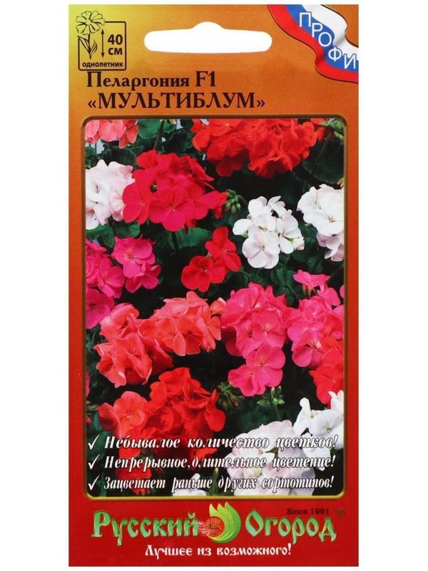 Семена цветов Пеларгония 