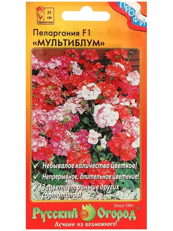 Семена цветов Пеларгония 