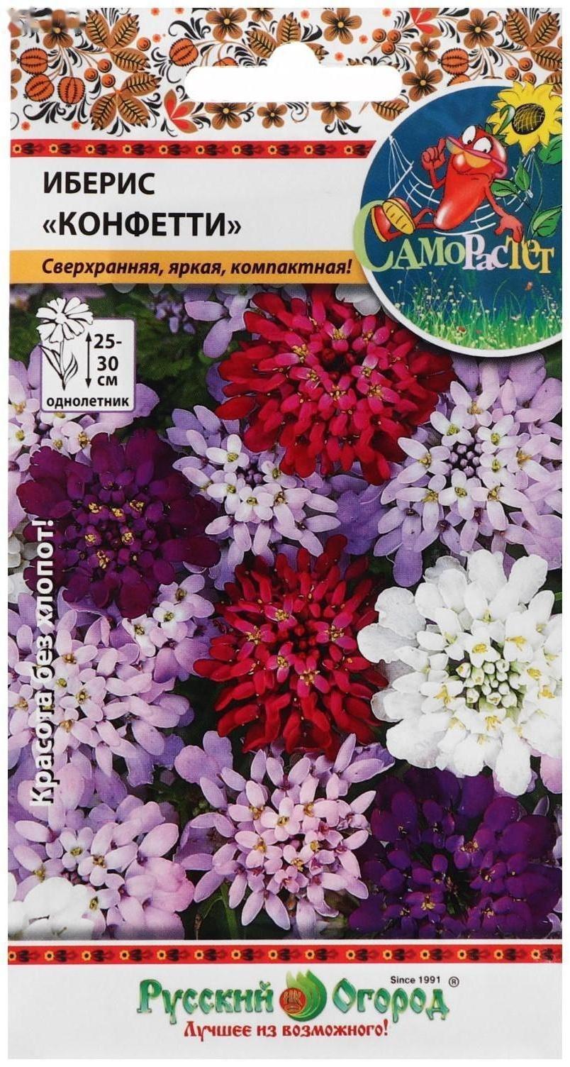 Семена цветов Иберис 