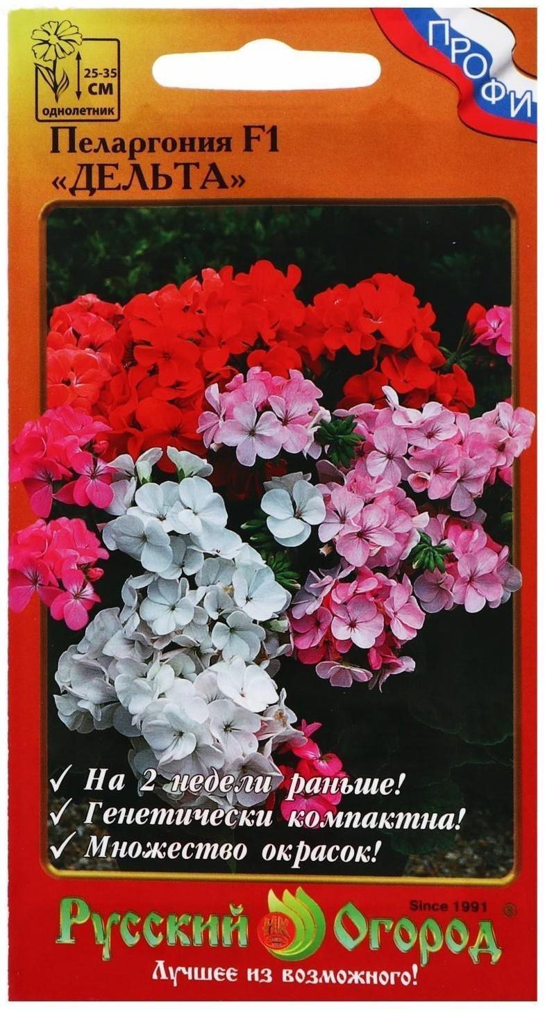Семена цветов Пеларгония 