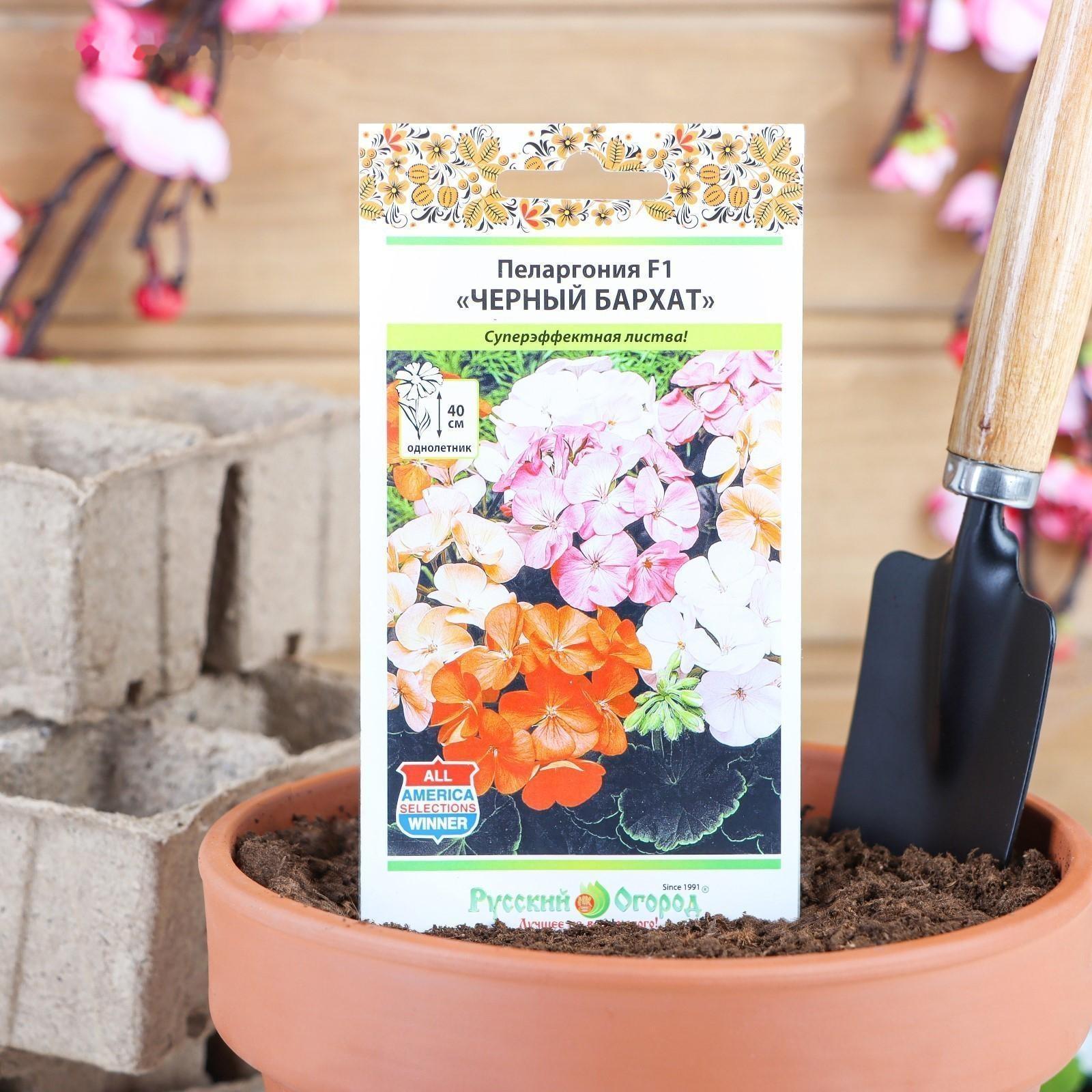 Семена цветов Пеларгония 