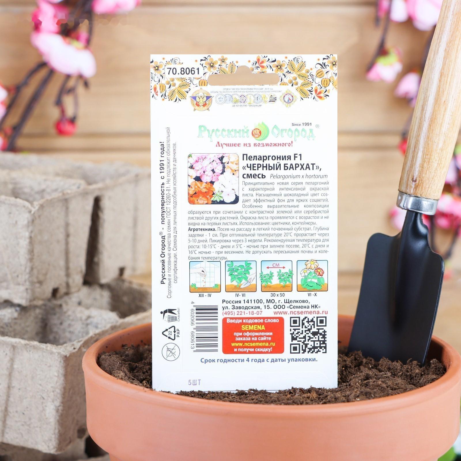 Семена цветов Пеларгония 