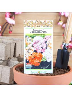 Семена цветов Пеларгония 