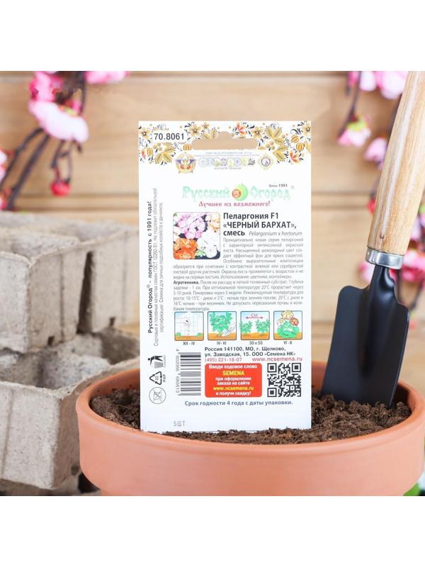 Семена цветов Пеларгония 