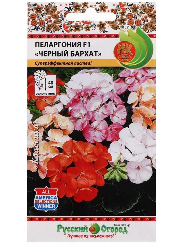 Семена цветов Пеларгония 
