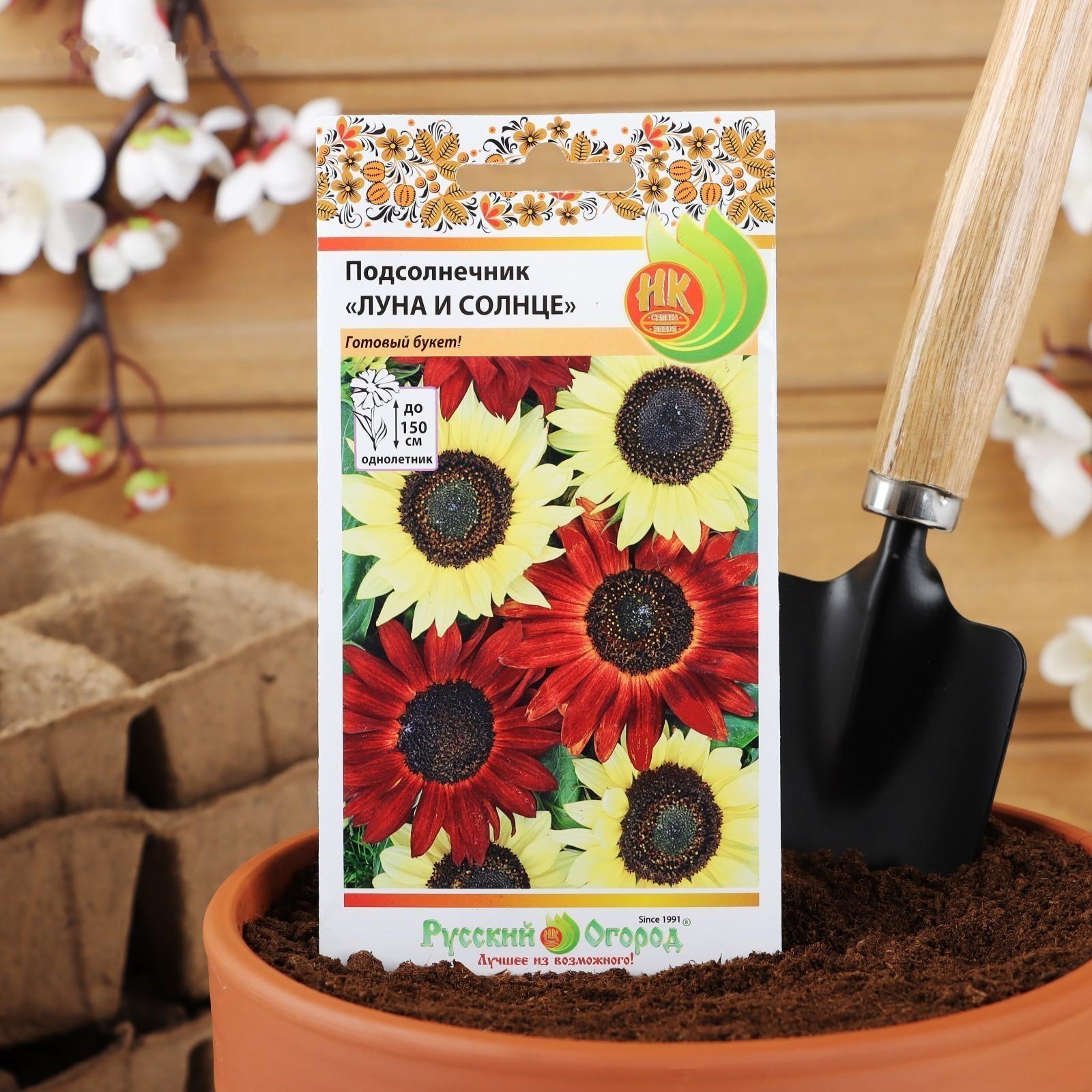 Семена цветов Подсолнечник 