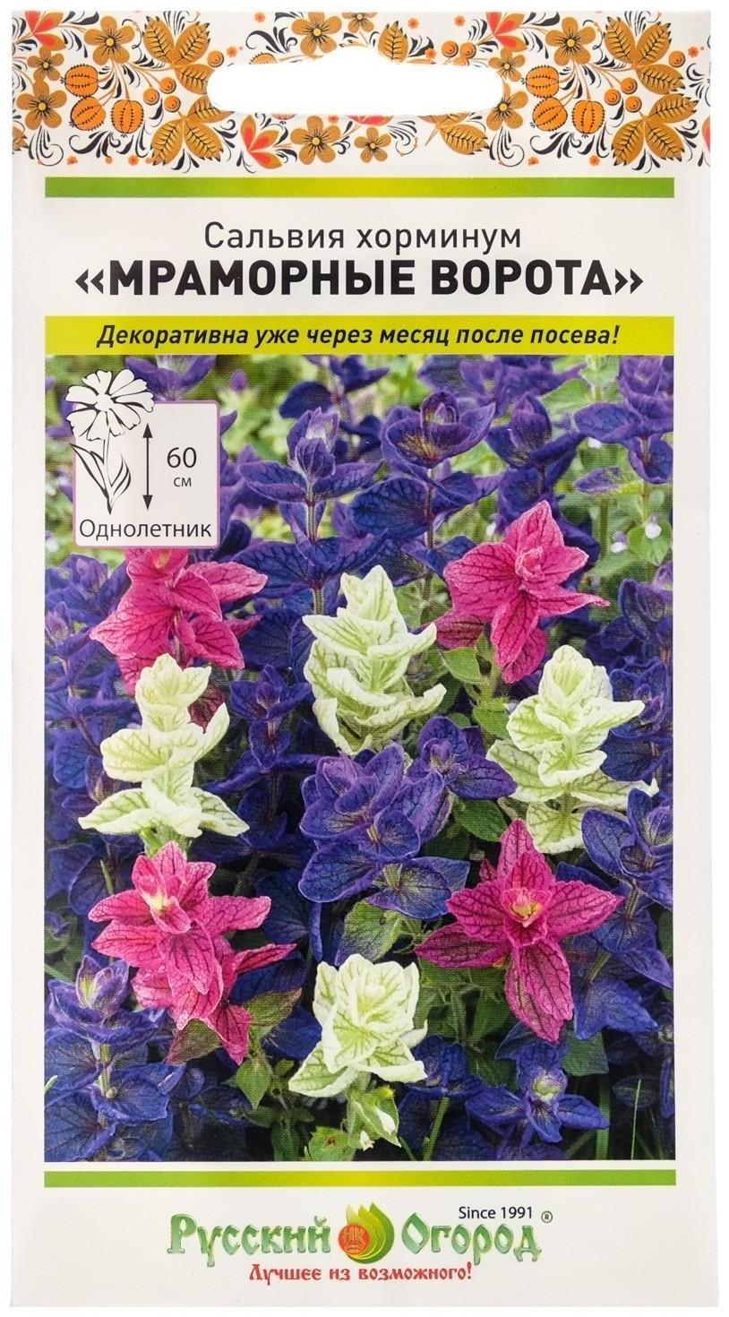 Семена цветов Сальвия хорминум 