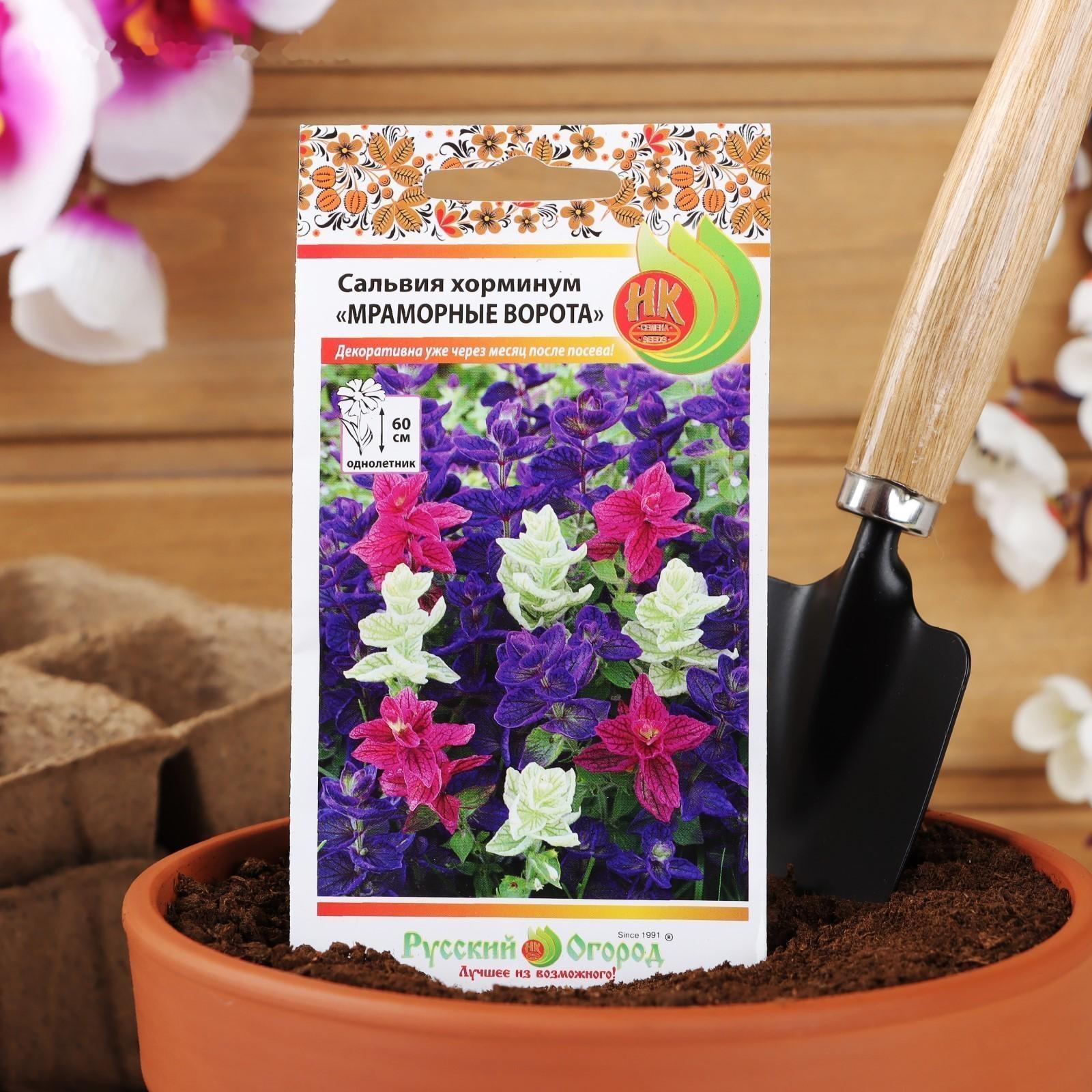 Семена цветов Сальвия хорминум 