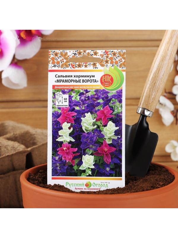 Семена цветов Сальвия хорминум 