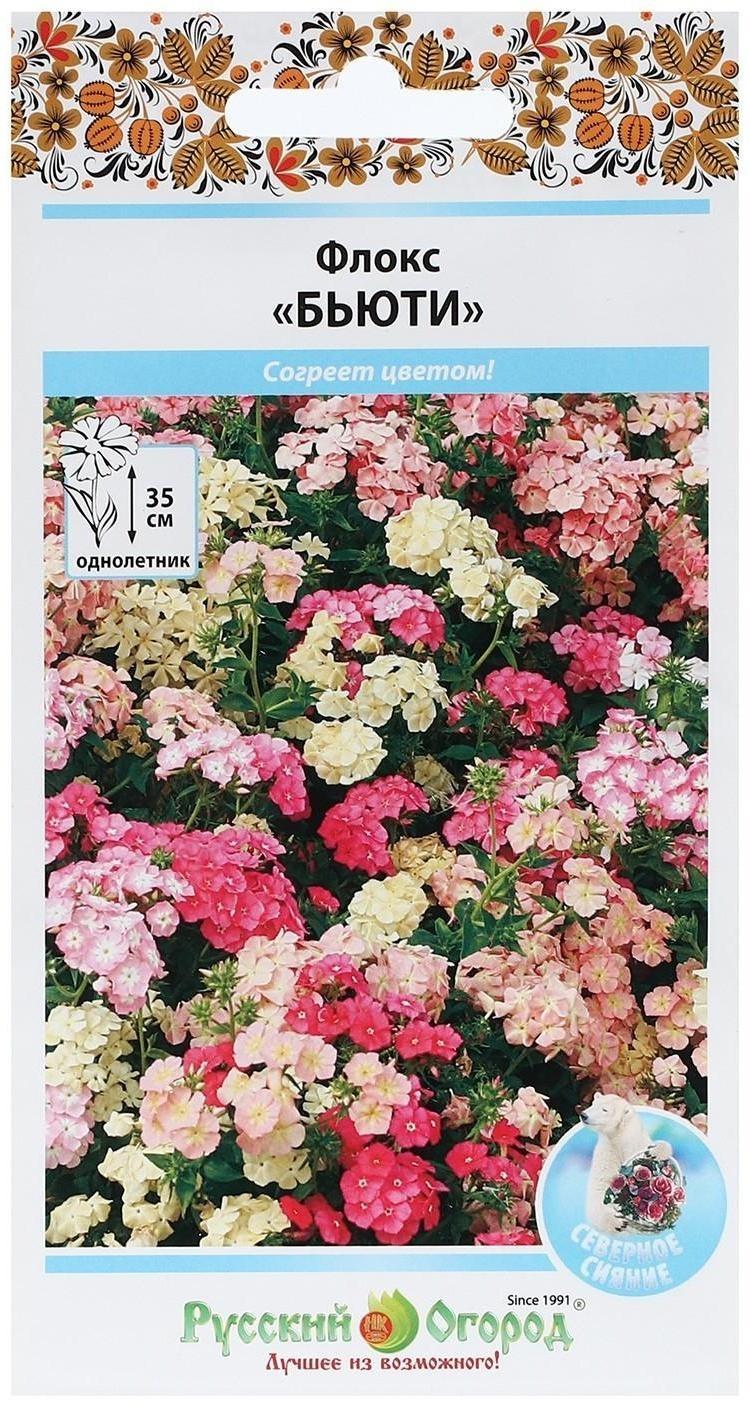 Семена цветов Флокс однолетний 