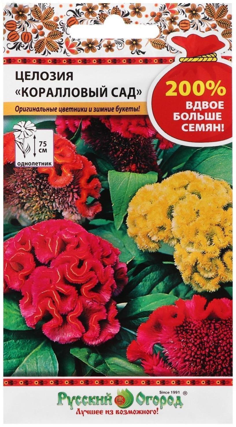 Семена цветов Целозия 