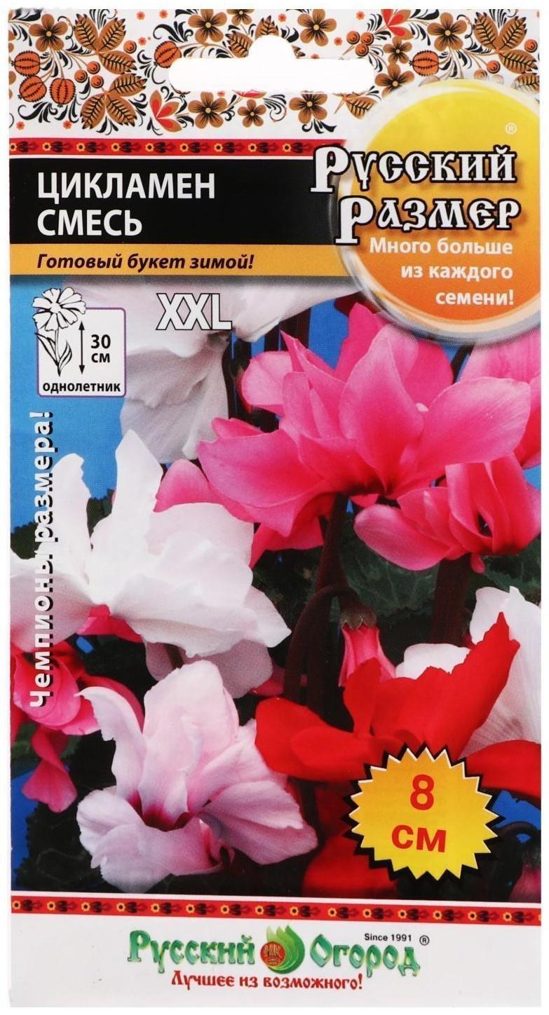 Семена цветов Цикламен 