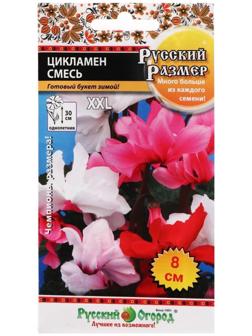 Семена цветов Цикламен 