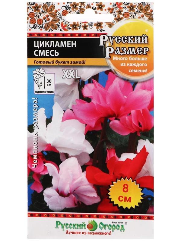 Семена цветов Цикламен 
