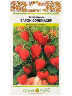 Семена Земляника 