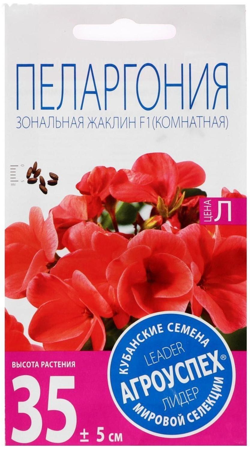 Семена цветов Пеларгония 