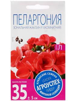 Семена цветов Пеларгония 
