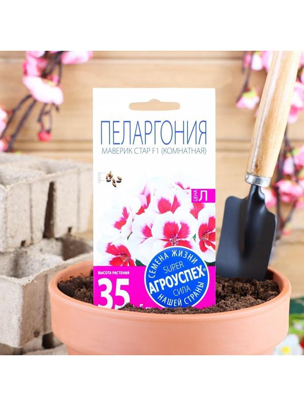 Семена цветов Пеларгония 