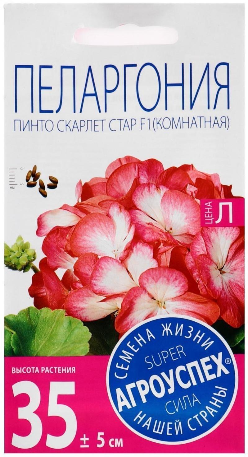 Семена цветов Пеларгония 