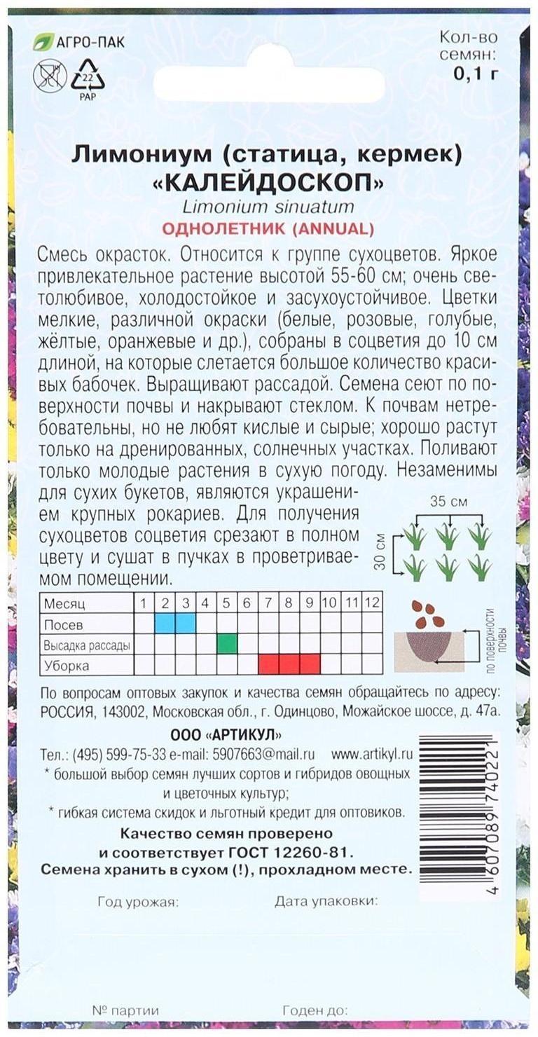 Семена цветов Лимониум 