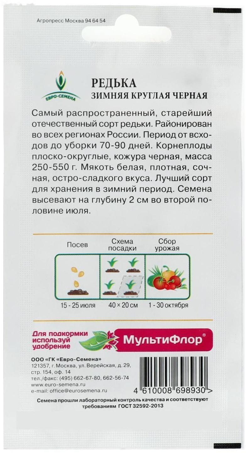 Семена Редька 