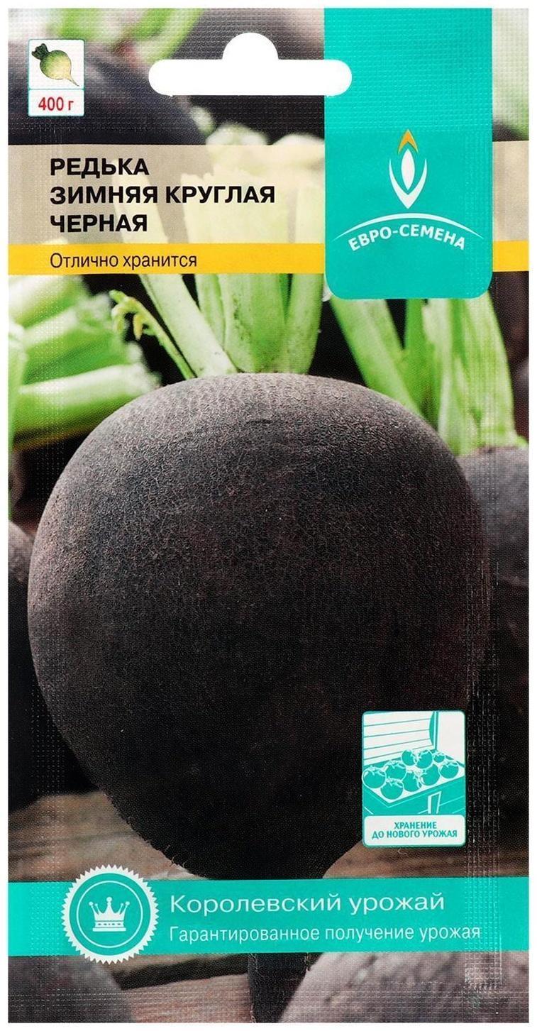 Семена Редька 