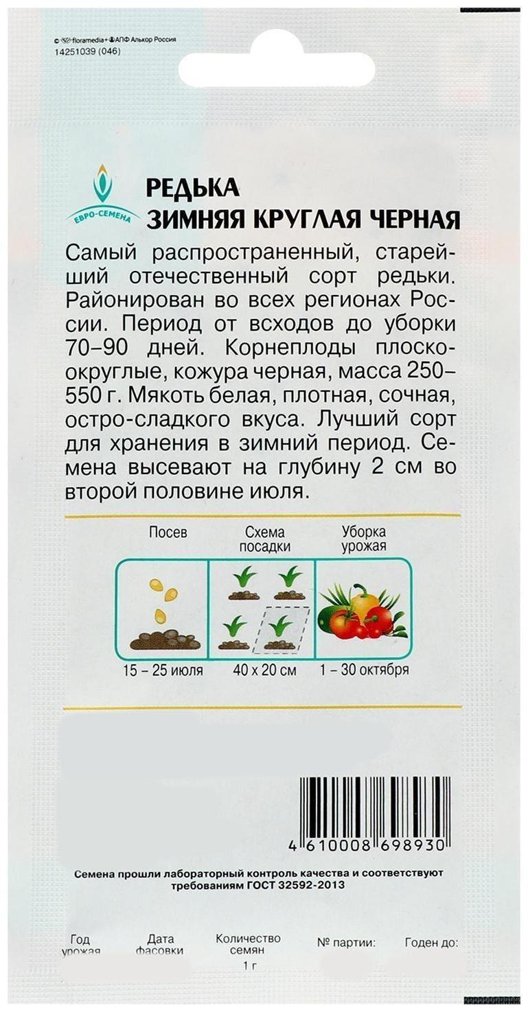 Семена Редька 