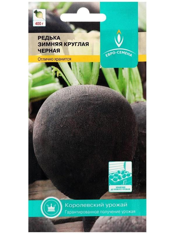 Семена Редька 