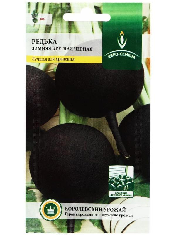 Семена Редька 