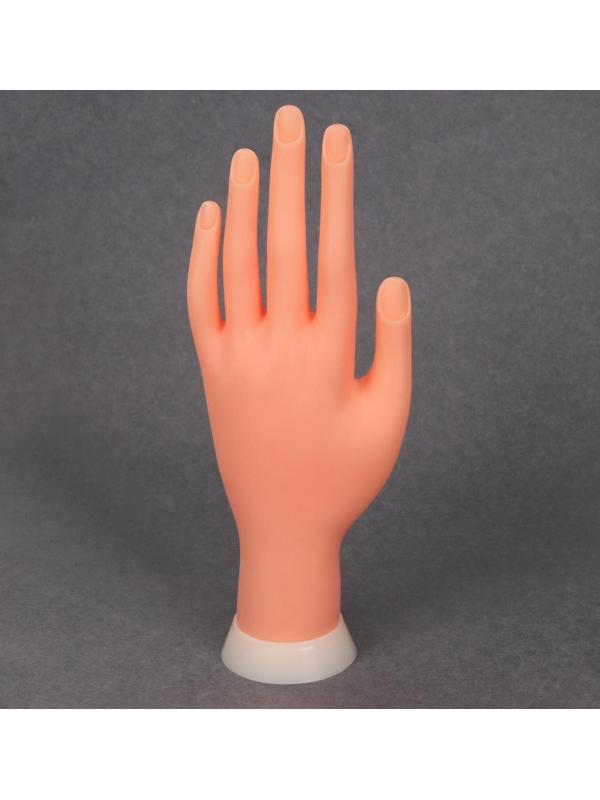 Рука тренировочная для маникюра, с гнущимися пальцами, в картонной коробке, цвет бежевый