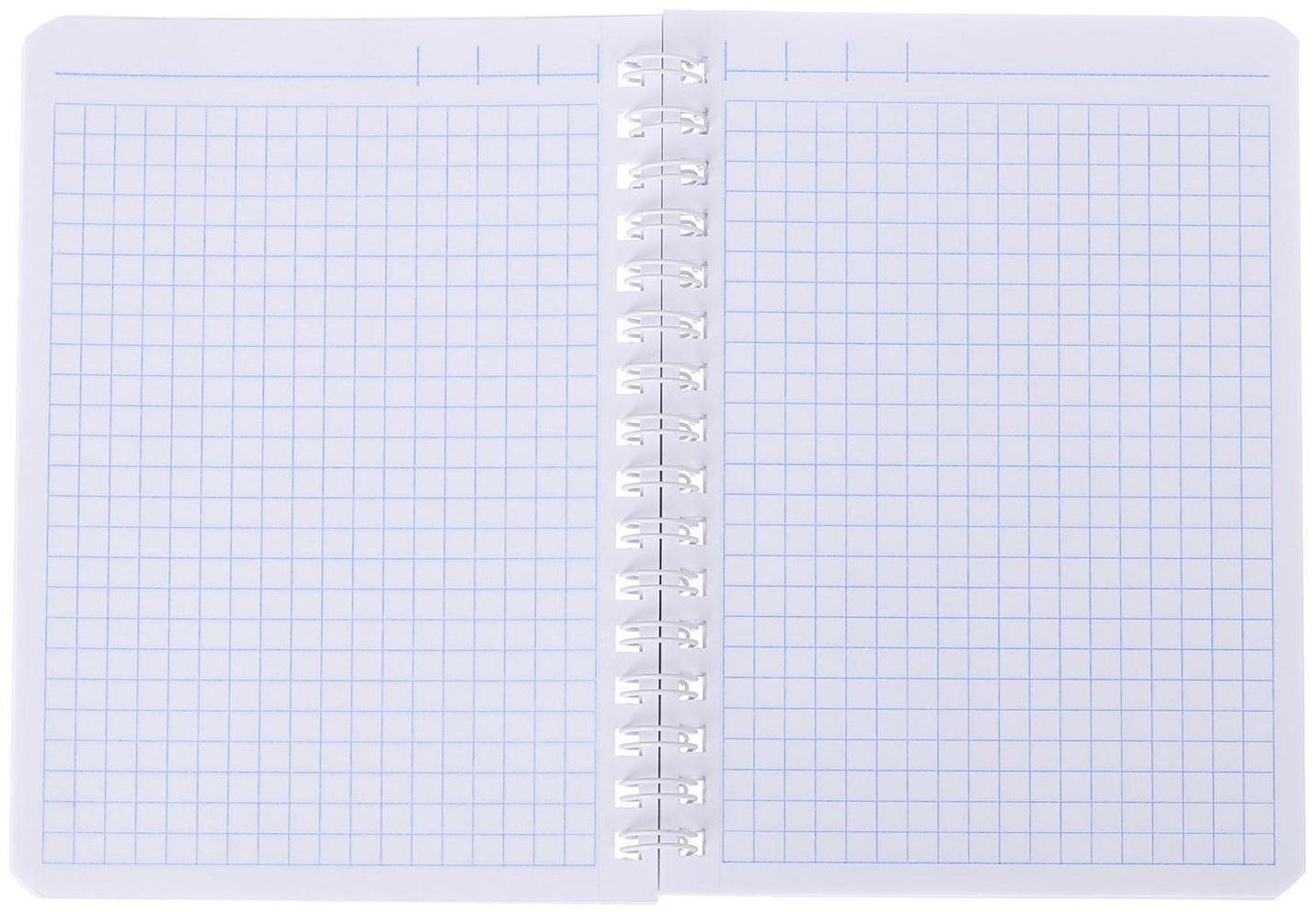 Записная книжка А6, 80 листов, в клетку, на гребне, Royal Cats, картонная обложка, блок офсет, МИКС