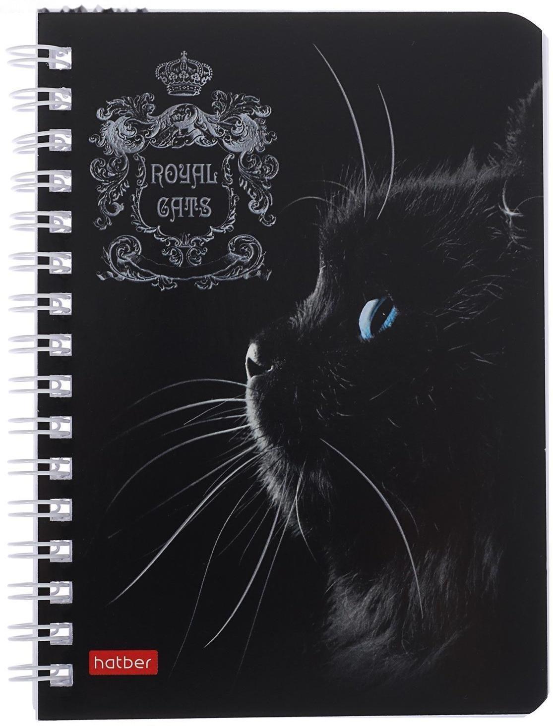 Записная книжка А6, 80 листов, в клетку, на гребне, Royal Cats, картонная обложка, блок офсет, МИКС