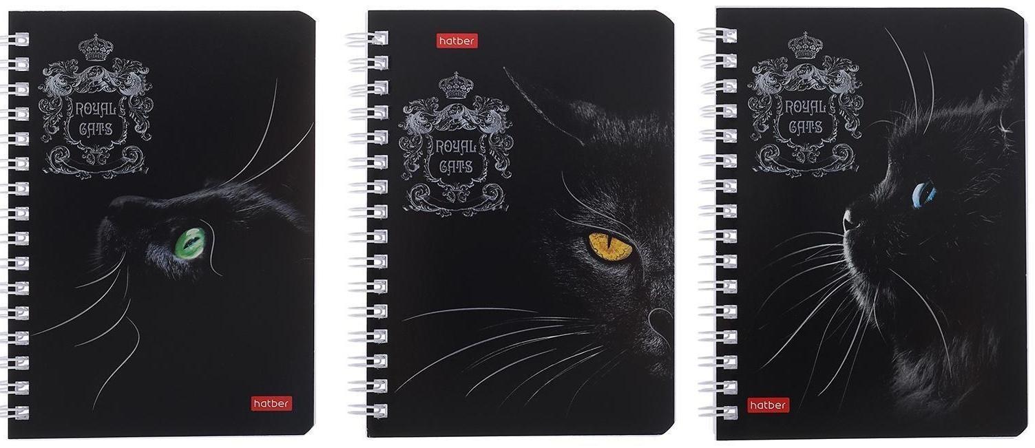 Записная книжка А6, 80 листов, в клетку, на гребне, Royal Cats, картонная обложка, блок офсет, МИКС