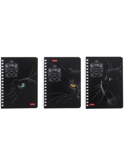 Записная книжка А6, 80 листов, в клетку, на гребне, Royal Cats, картонная обложка, блок офсет, МИКС