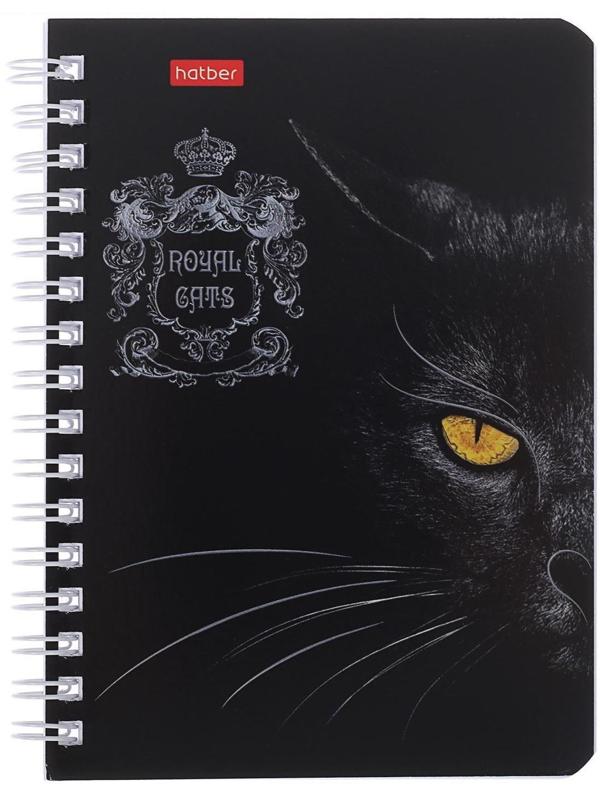 Записная книжка А6, 80 листов, в клетку, на гребне, Royal Cats, картонная обложка, блок офсет, МИКС