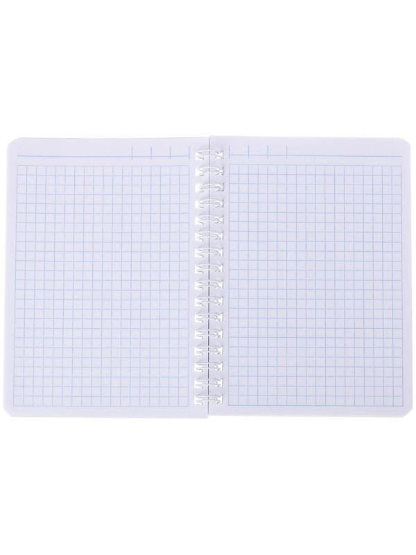 Записная книжка А6, 80 листов, в клетку, на гребне, Royal Cats, картонная обложка, блок офсет, МИКС