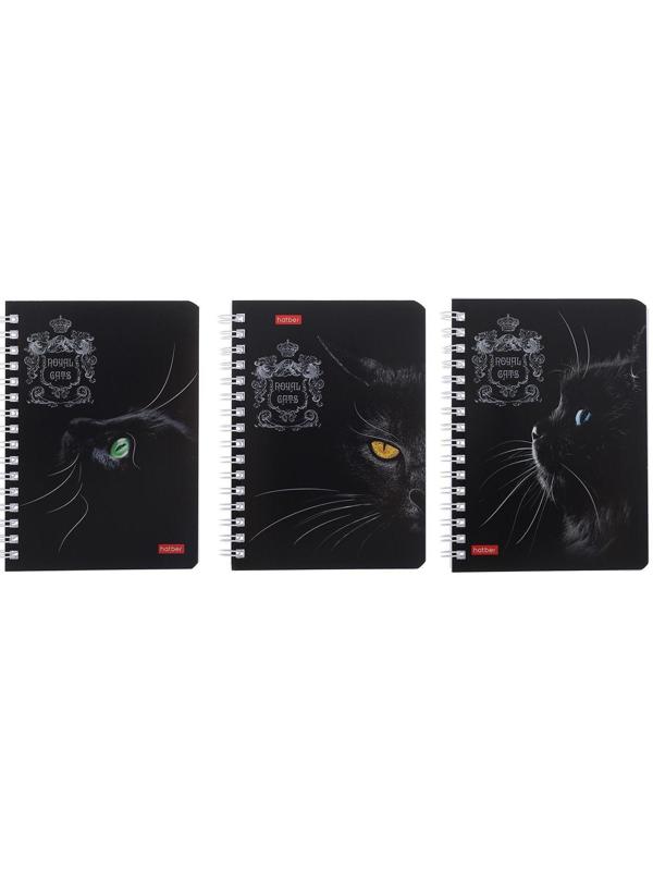 Записная книжка А6, 80 листов, в клетку, на гребне, Royal Cats, картонная обложка, блок офсет, МИКС