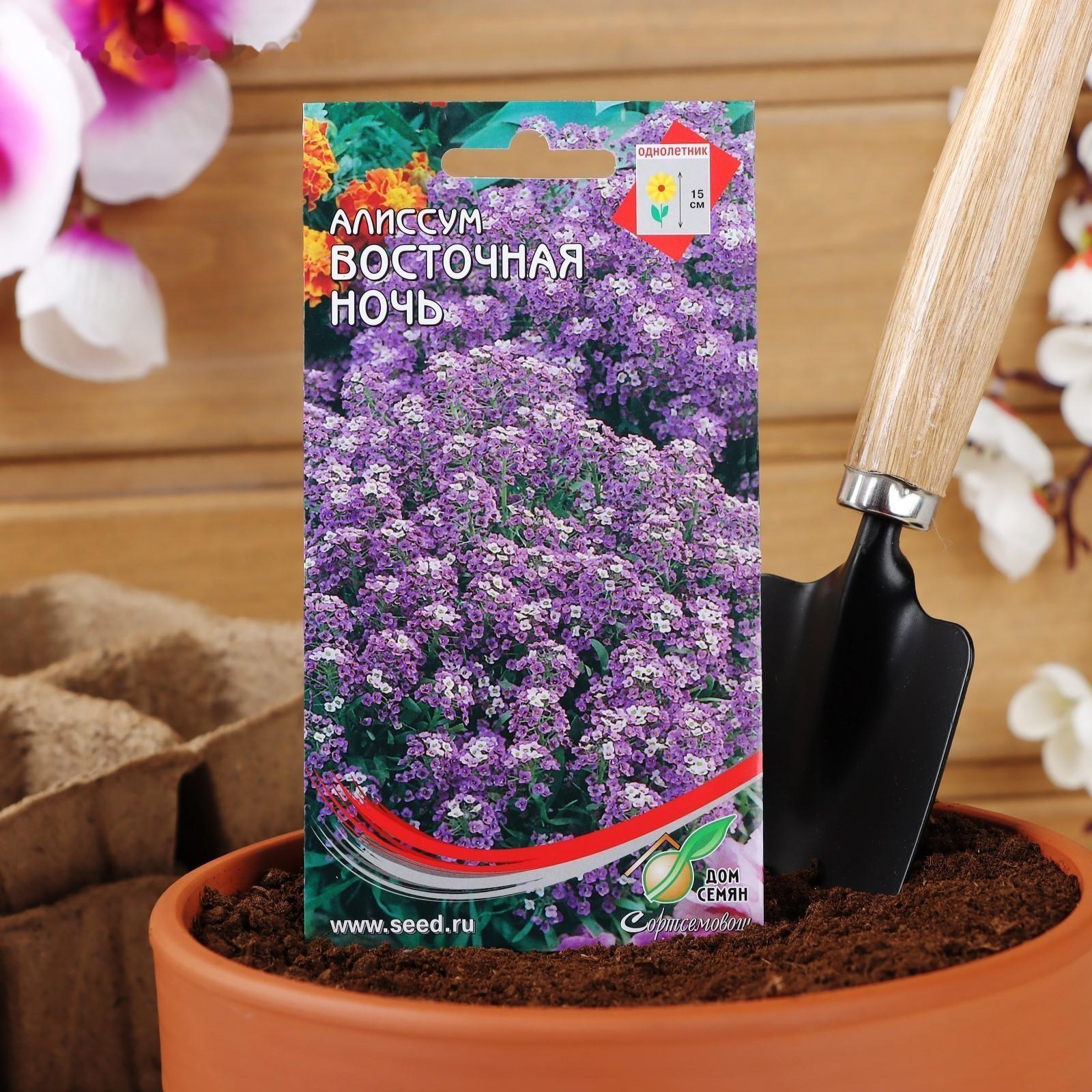 Семена цветов  Алиссум 