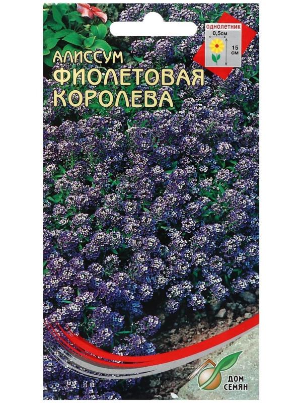 Семена цветов  Алиссум 