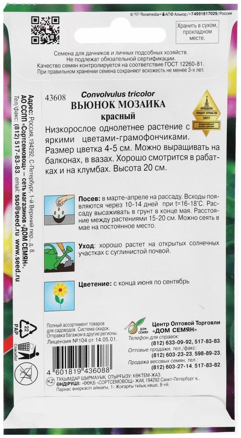 Семена цветов  Вьюнок 