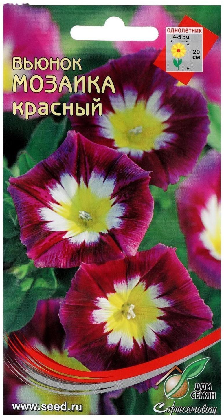 Семена цветов  Вьюнок 