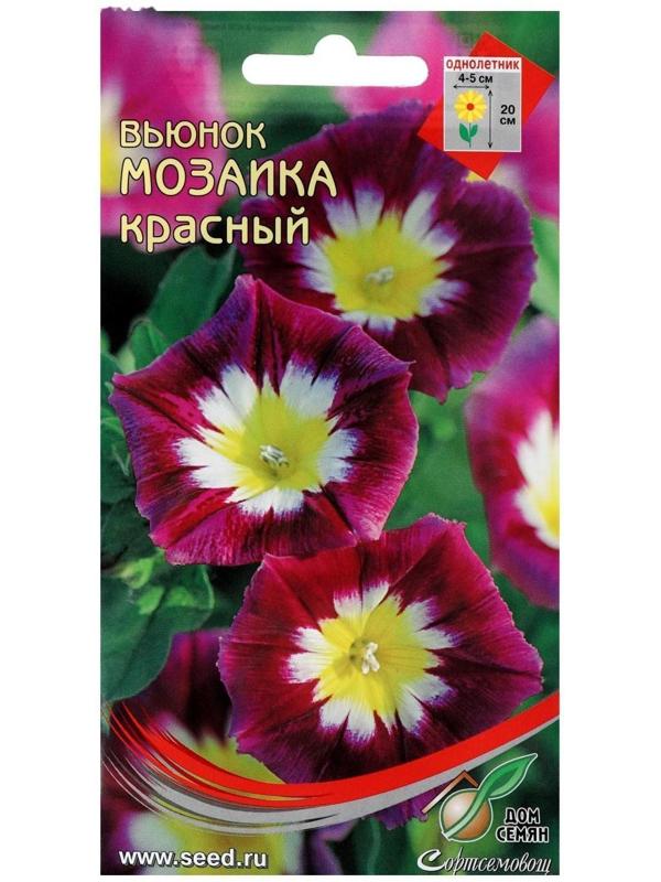 Семена цветов  Вьюнок 