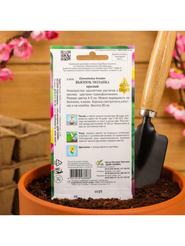 Семена цветов  Вьюнок 