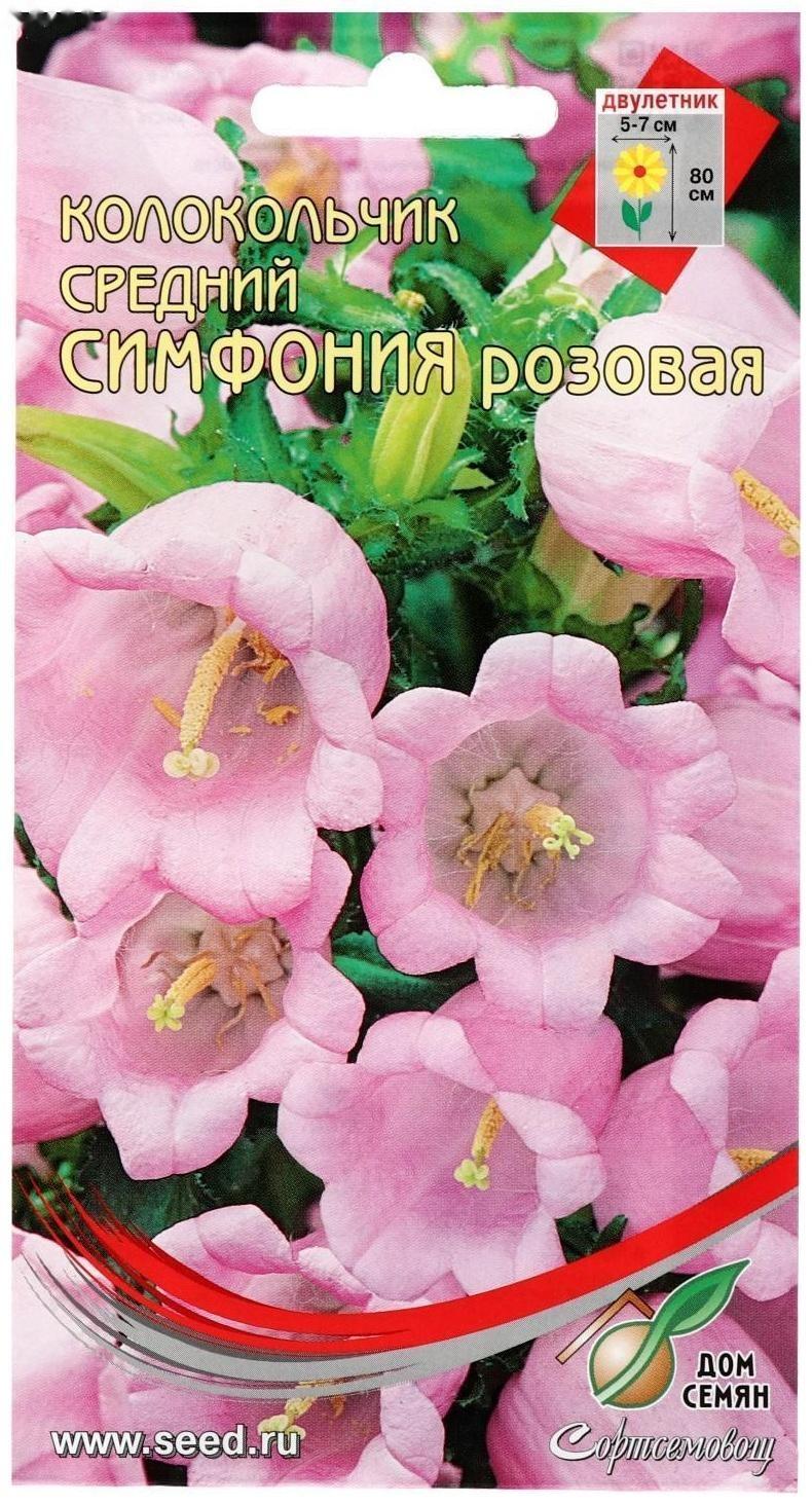 Семена цветов Колокольчик 