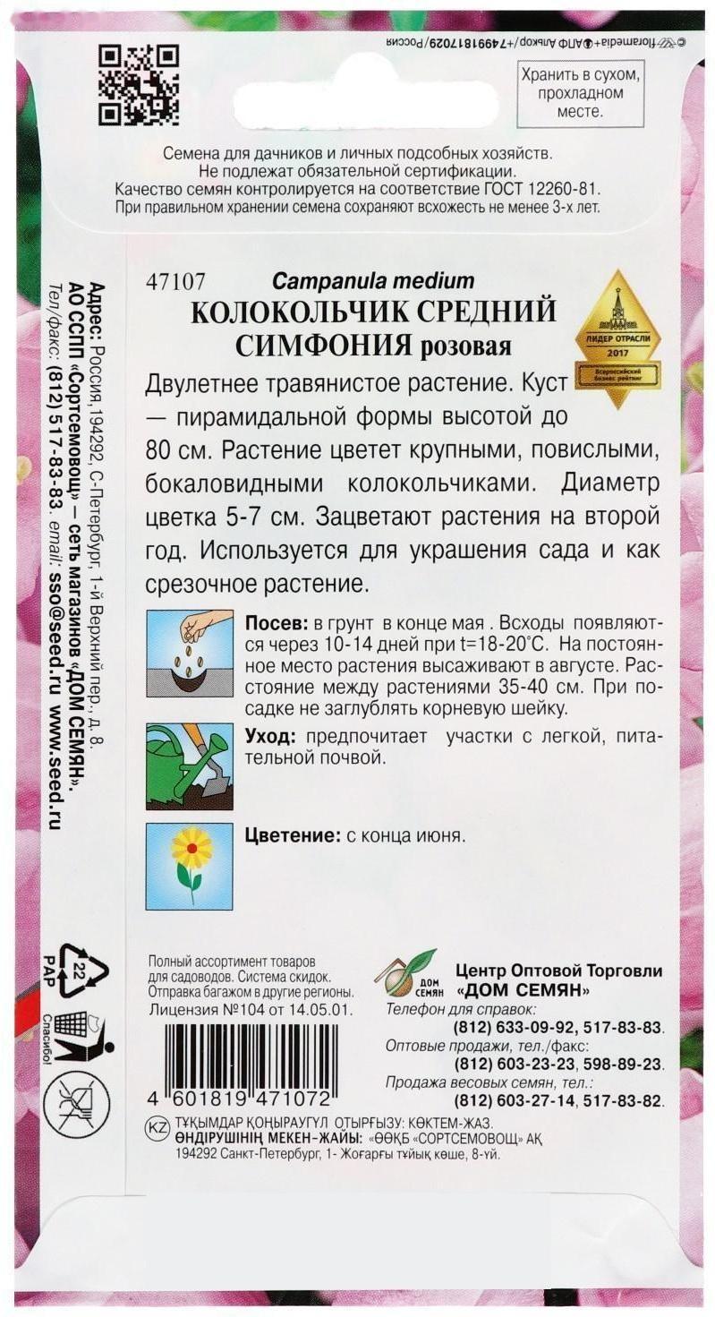 Семена цветов Колокольчик 