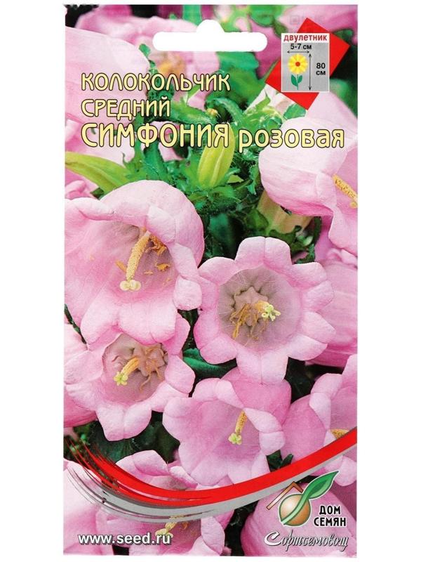 Семена цветов Колокольчик 