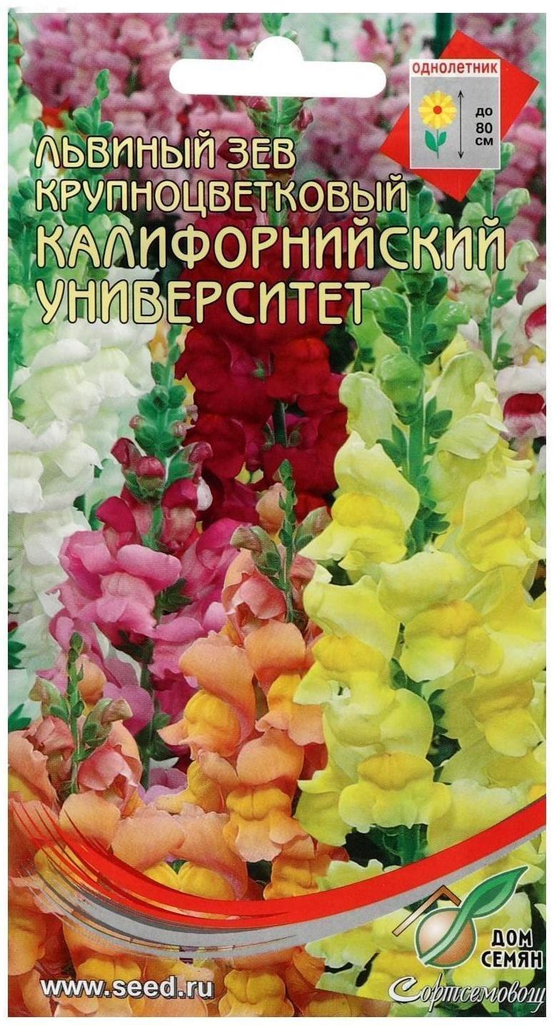 Семена цветов  Львиный зев 