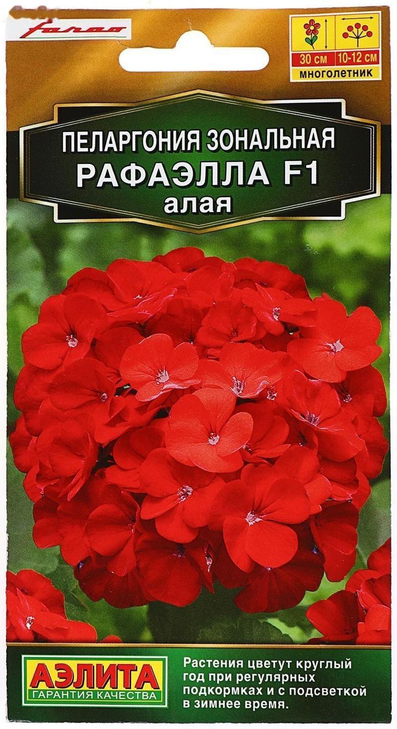 Семена цветов Пеларгония 