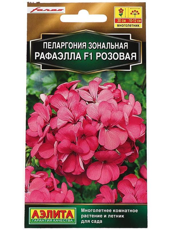 Семена цветов Пеларгония 