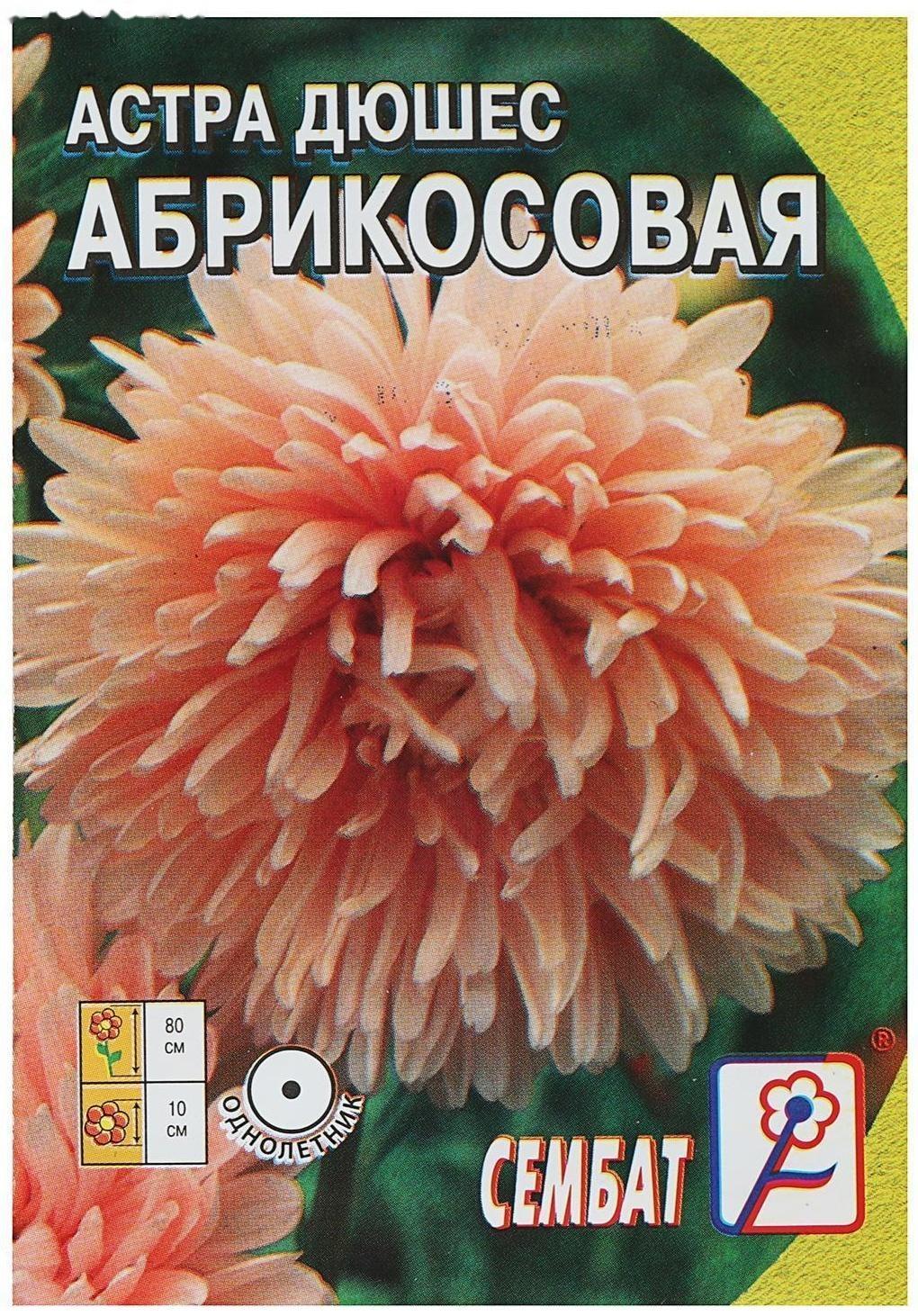 Семена цветов Астра пионовидная 